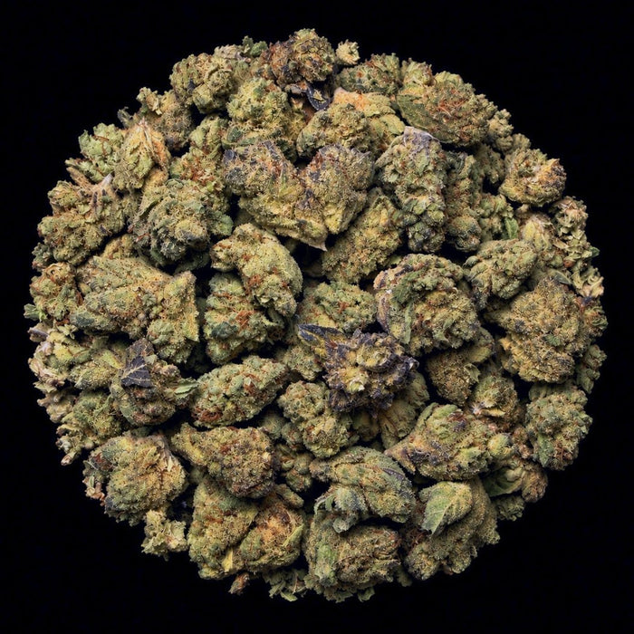 Black Runtz THCA Flower - Lost In Translation