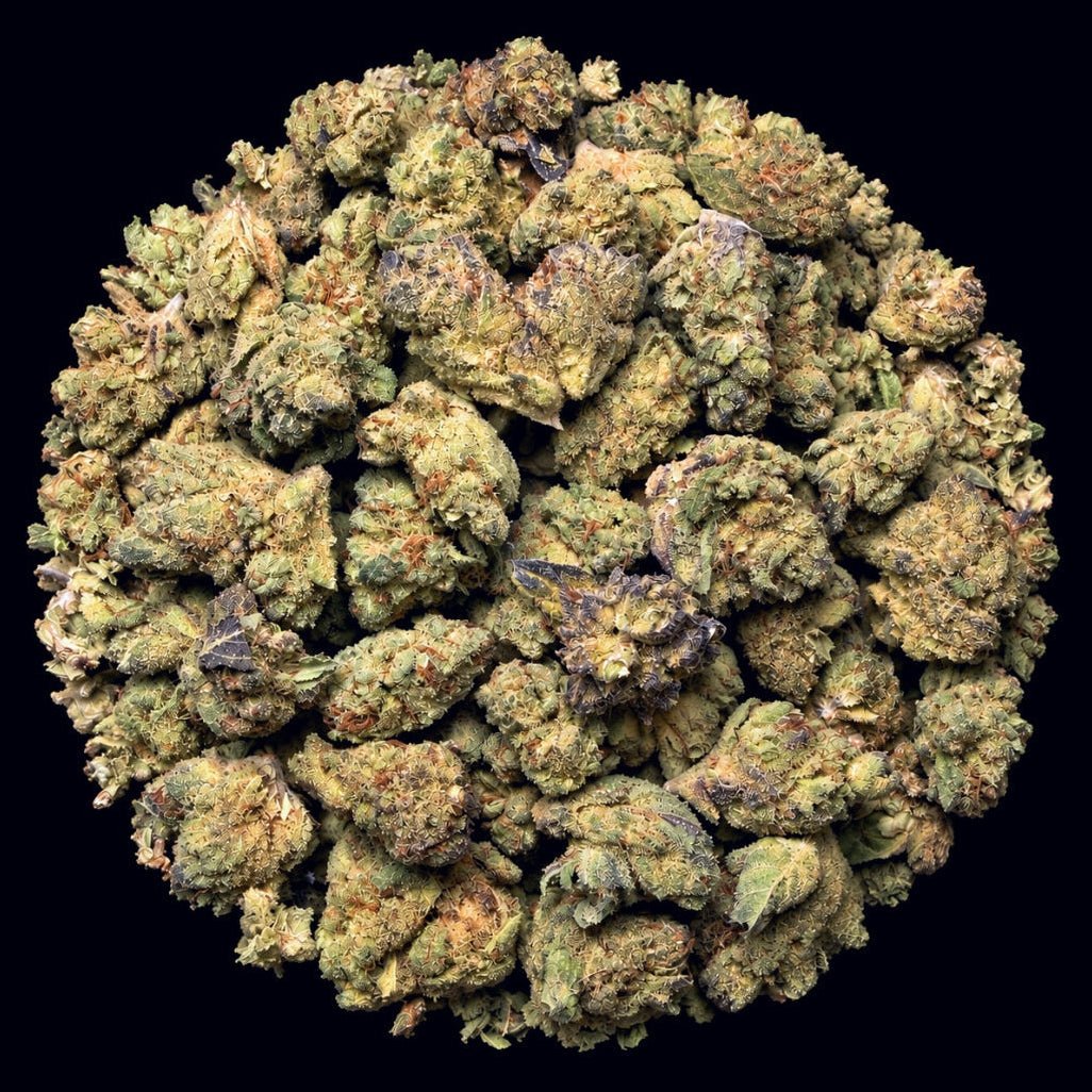 Black Runtz THCA Flower - Lost In Translation