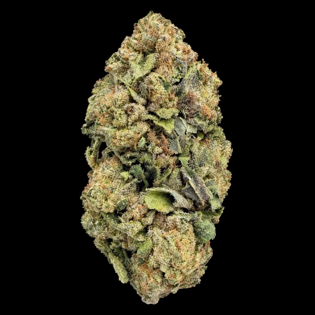 Black Runtz THCA Flower - Lost In Translation