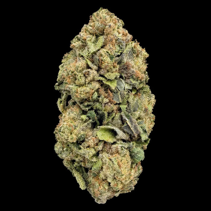 Black Runtz THCA Flower - Lost In Translation