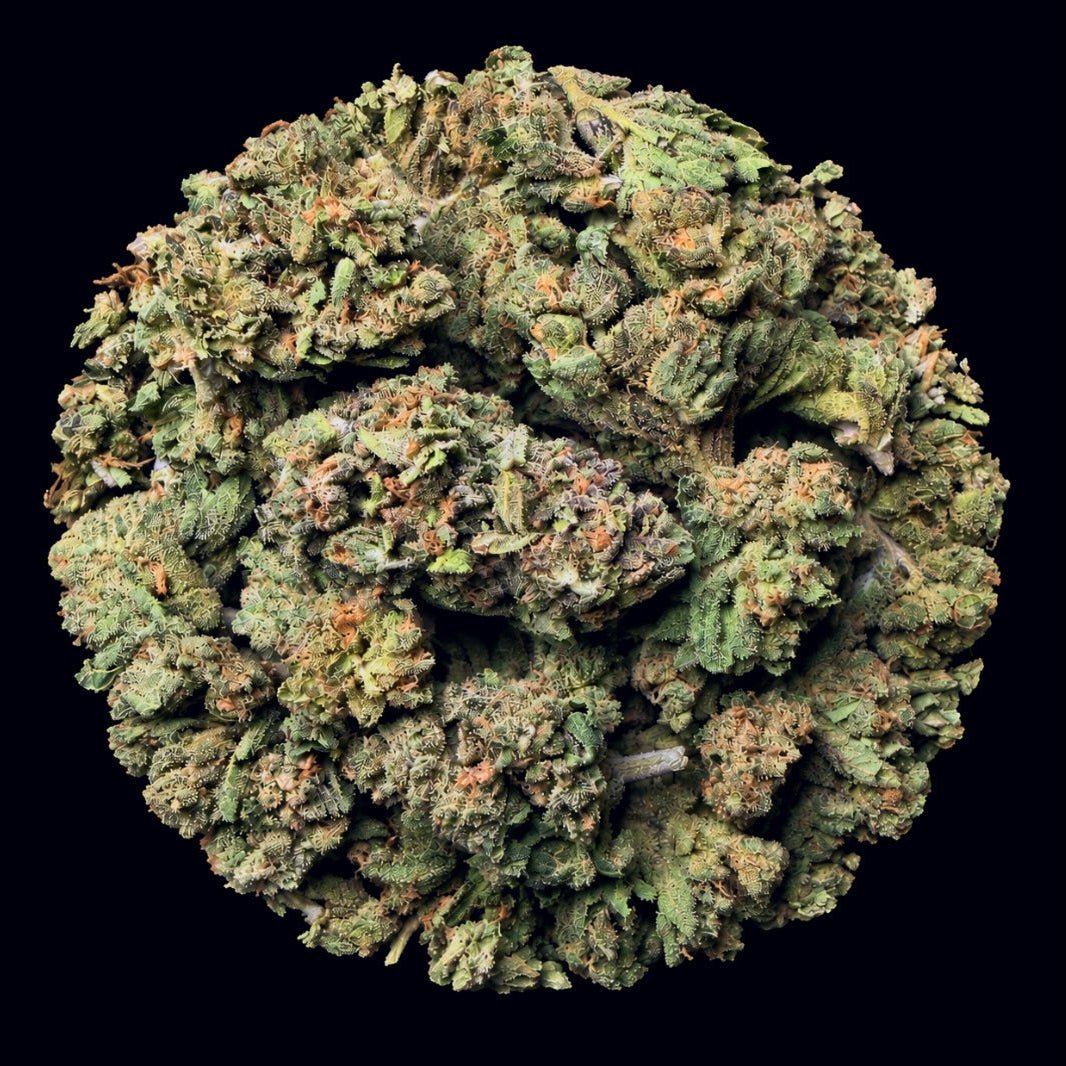 Black Truffle THCA Flower - Lost In Translation