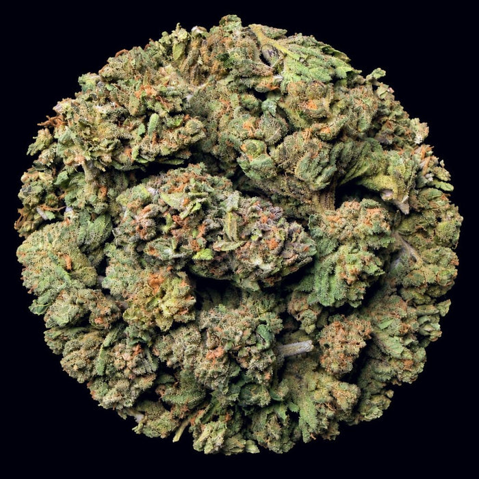 Black Truffle THCA Flower - Lost In Translation