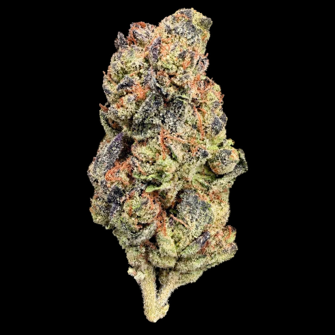 Black Truffle THCA Flower - Lost In Translation