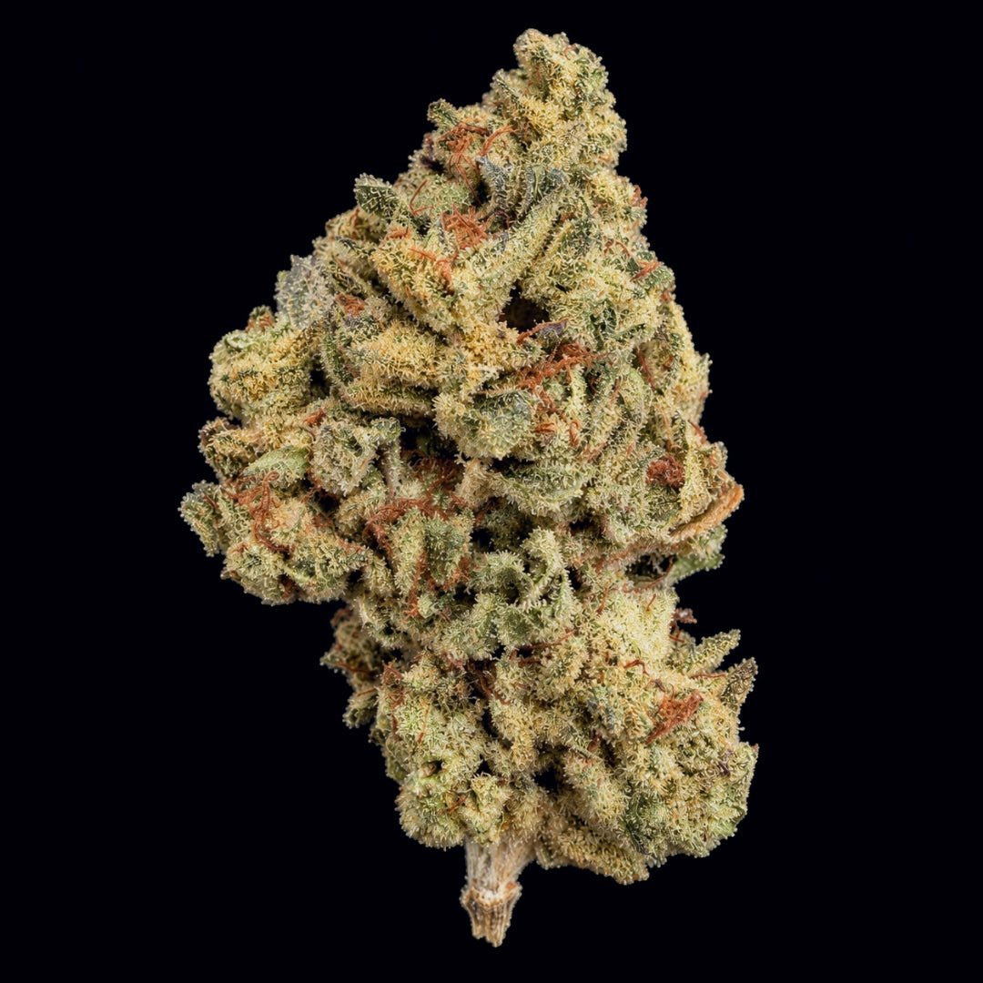 Black Valentine THCA Flower - Lost In Translation