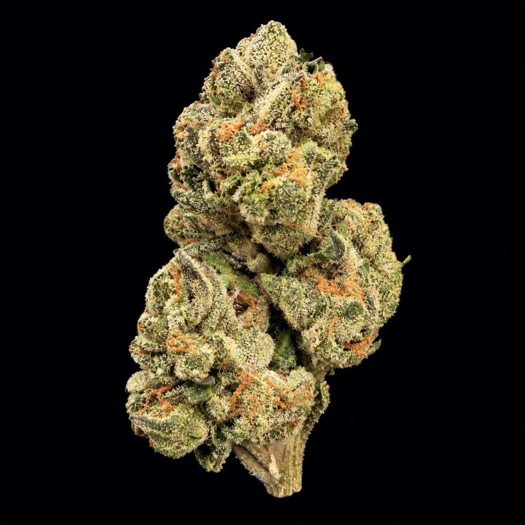 Black Zoap THCA Flower - Lost In Translation