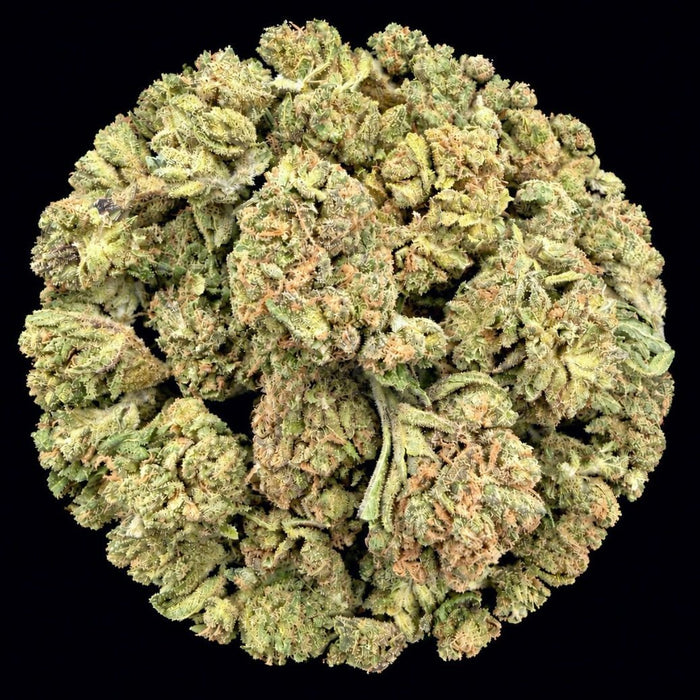 Black Zoap THCA Flower - Lost In Translation