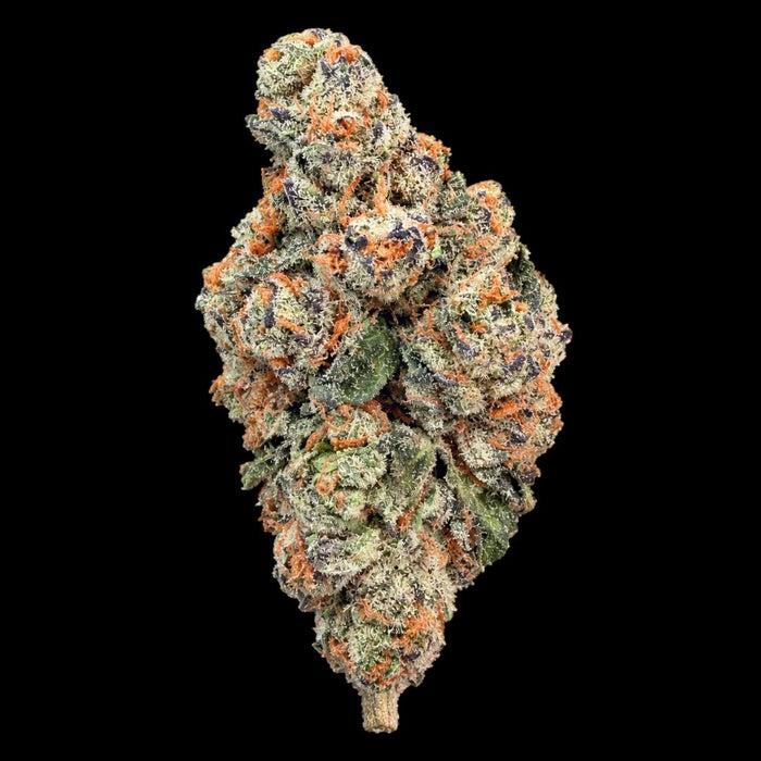 Blackberry Caviar THCA Flower - Lost In Translation