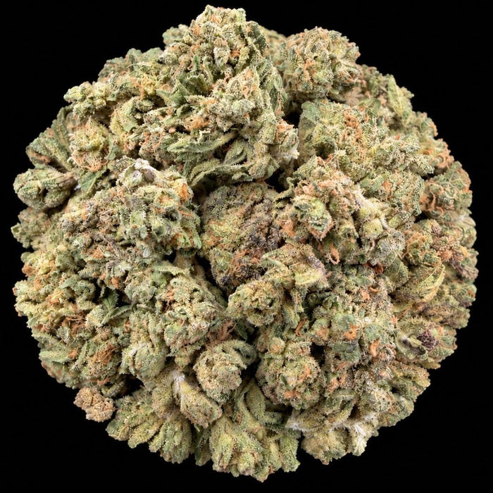 Bliss THCA Flower - Lost In Translation