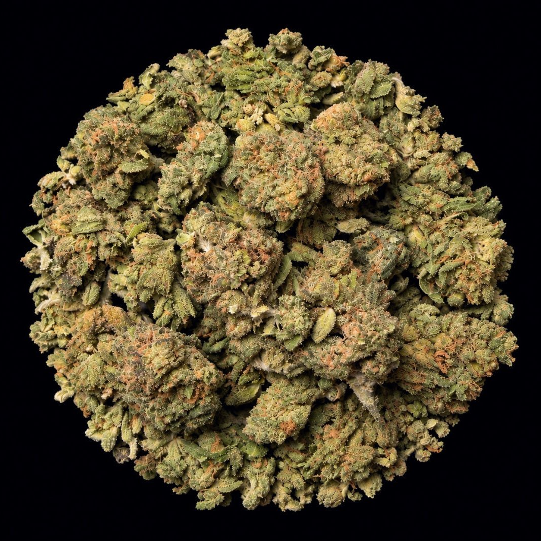 Blood Diamondz THCA Flower - Lost In Translation
