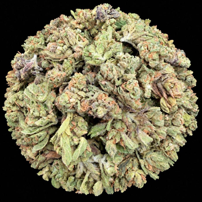 Blue Andies THCA Flower - Lost In Translation