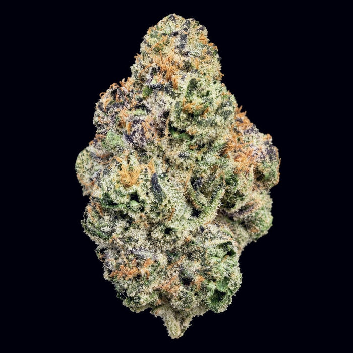 Blue Andies THCA Flower - Lost In Translation