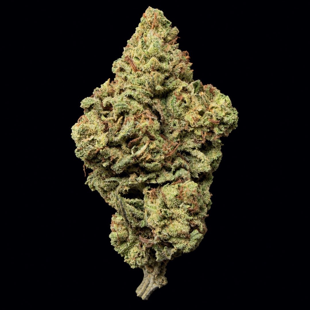 Blue Dream THCA Flower - Lost In Translation