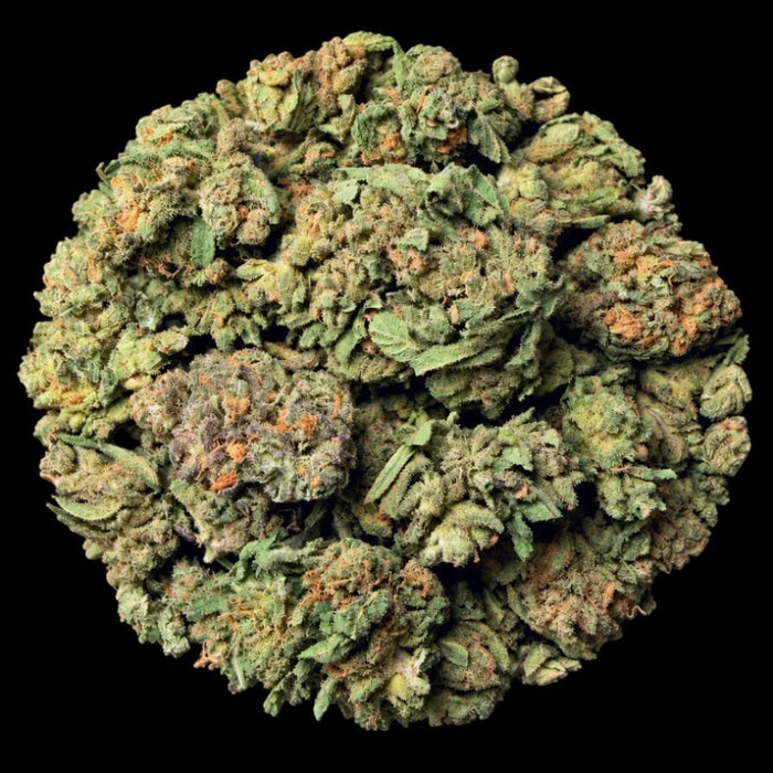 Blue Nerds THCA Flower - Lost In Translation