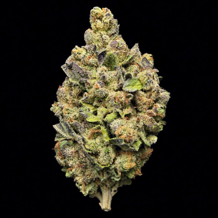 Blue Nerds THCA Flower - Lost In Translation