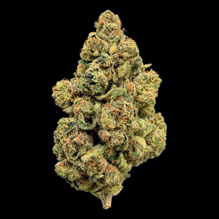 Blue Runtz THCA Flower - Lost In Translation