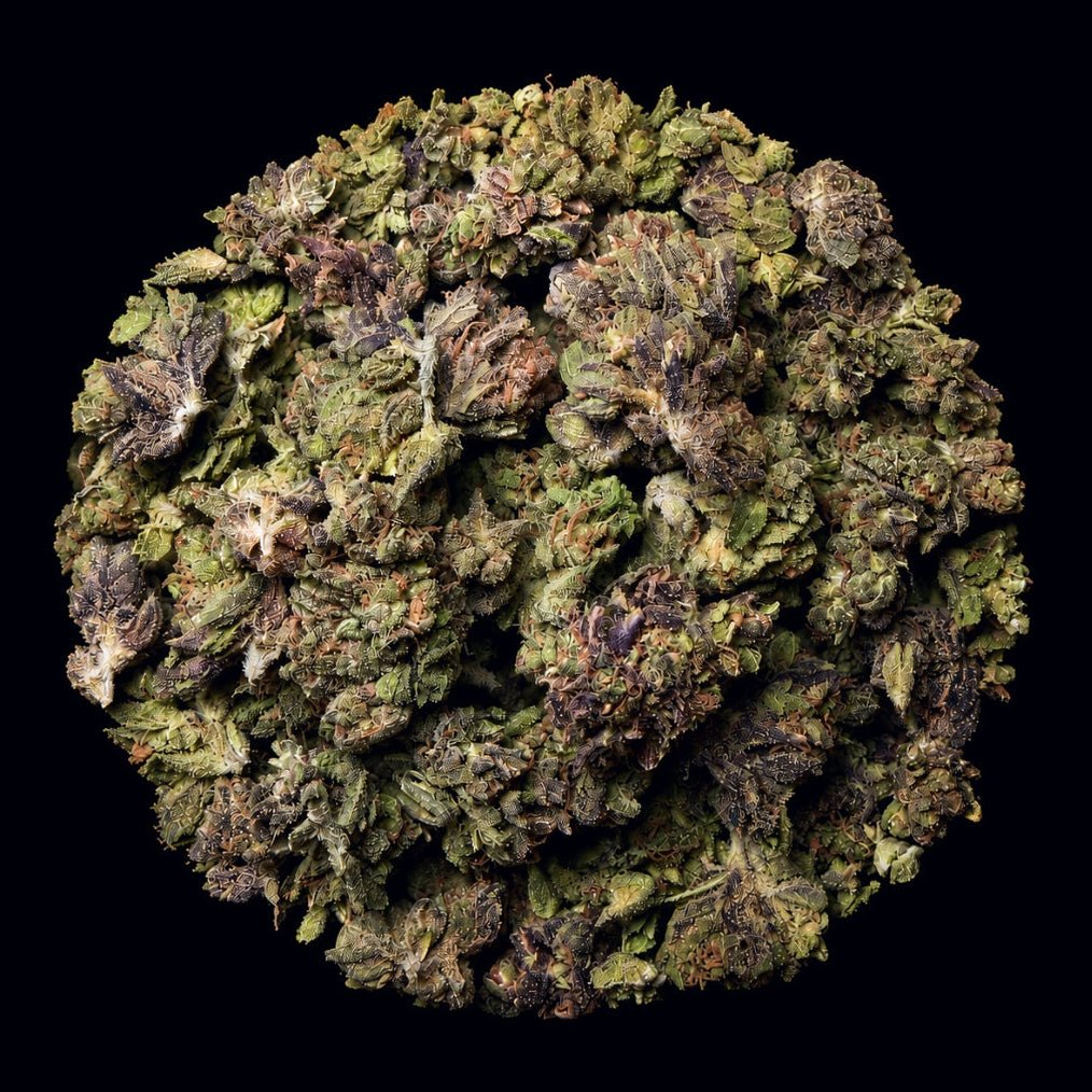 Blue Runtz THCA Flower - Lost In Translation