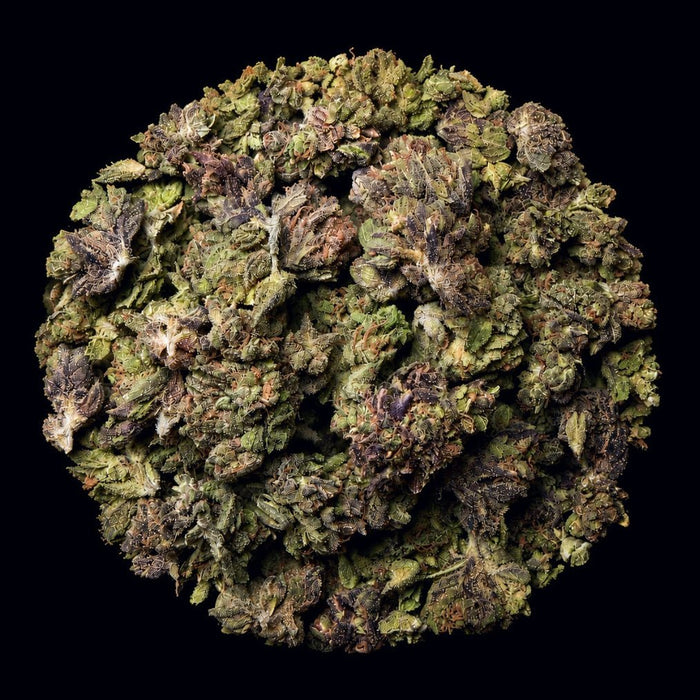 Blue Runtz THCA Flower - Lost In Translation