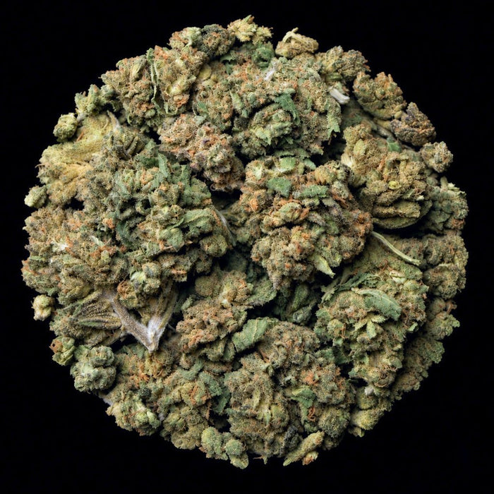 Blue Smoke THCA Flower - Lost In Translation