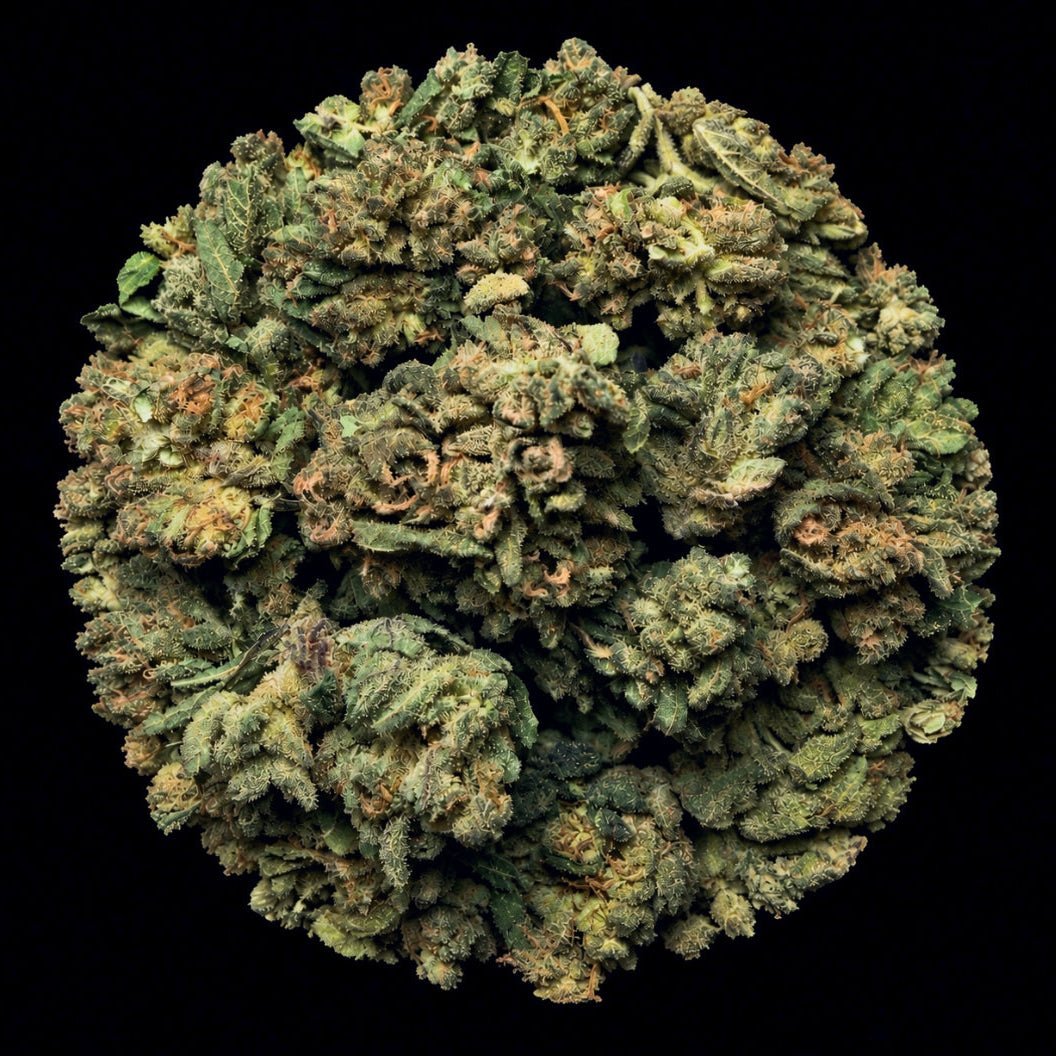 Blue Zkittlez THCA Flower - Lost In Translation