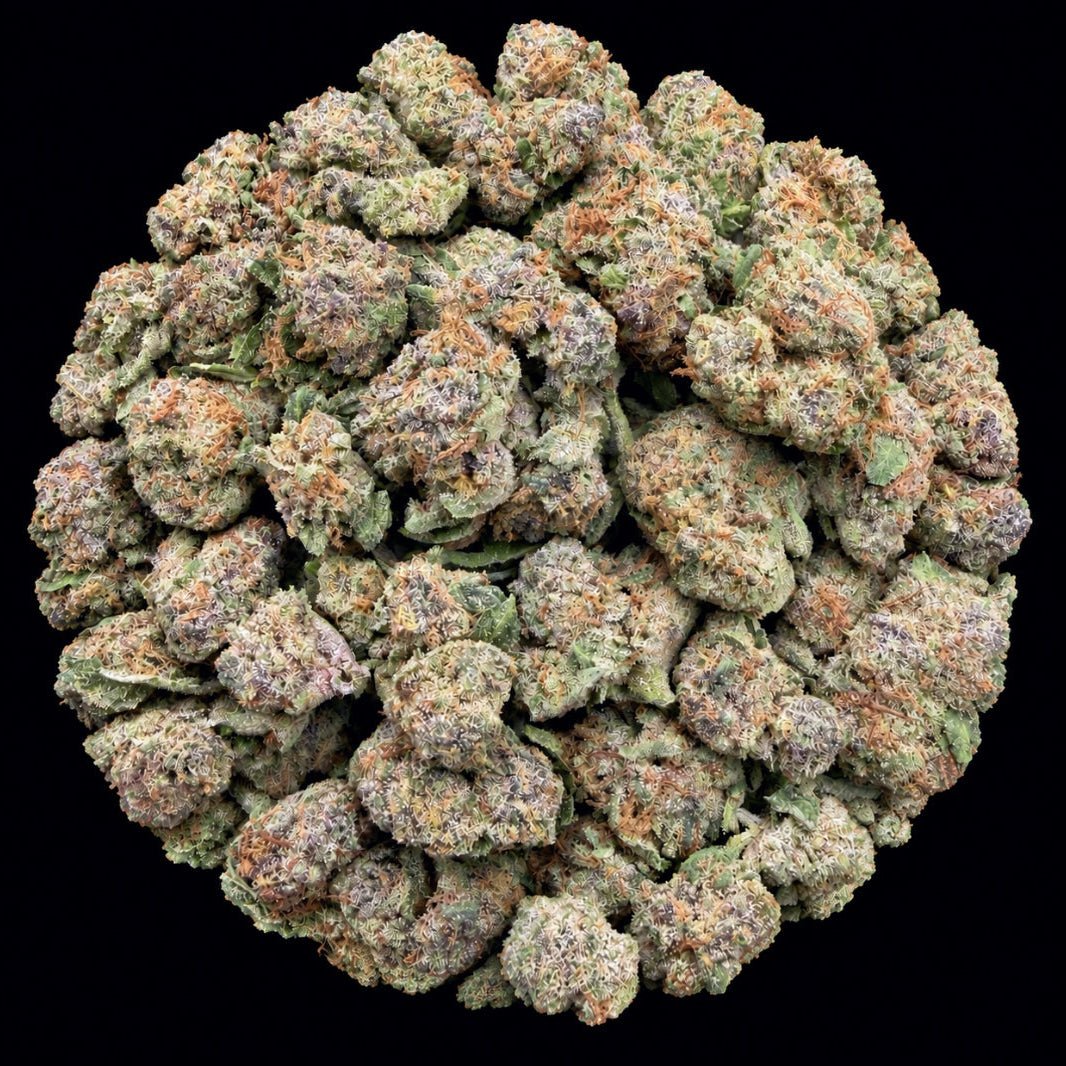 Blue Zkittlez THCA Flower - Lost In Translation