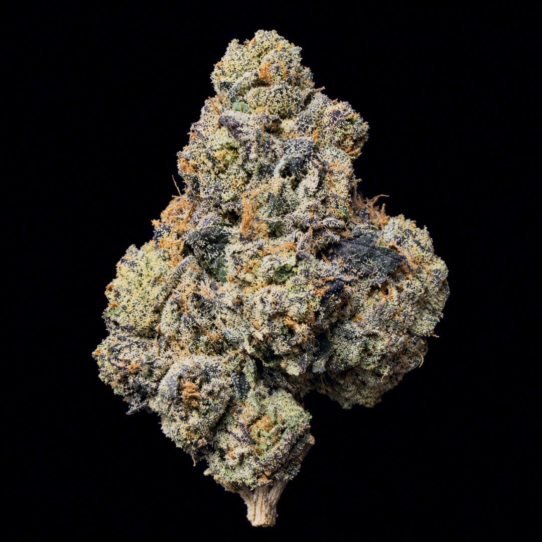 Blue Zushi THCA Flower - Lost In Translation