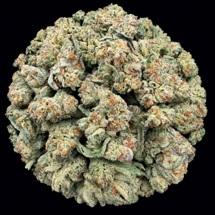 Blue Zushi THCA Flower - Lost In Translation