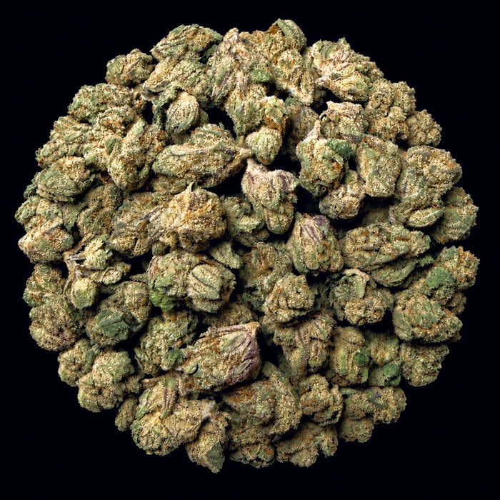 Blue Zushi THCA Flower