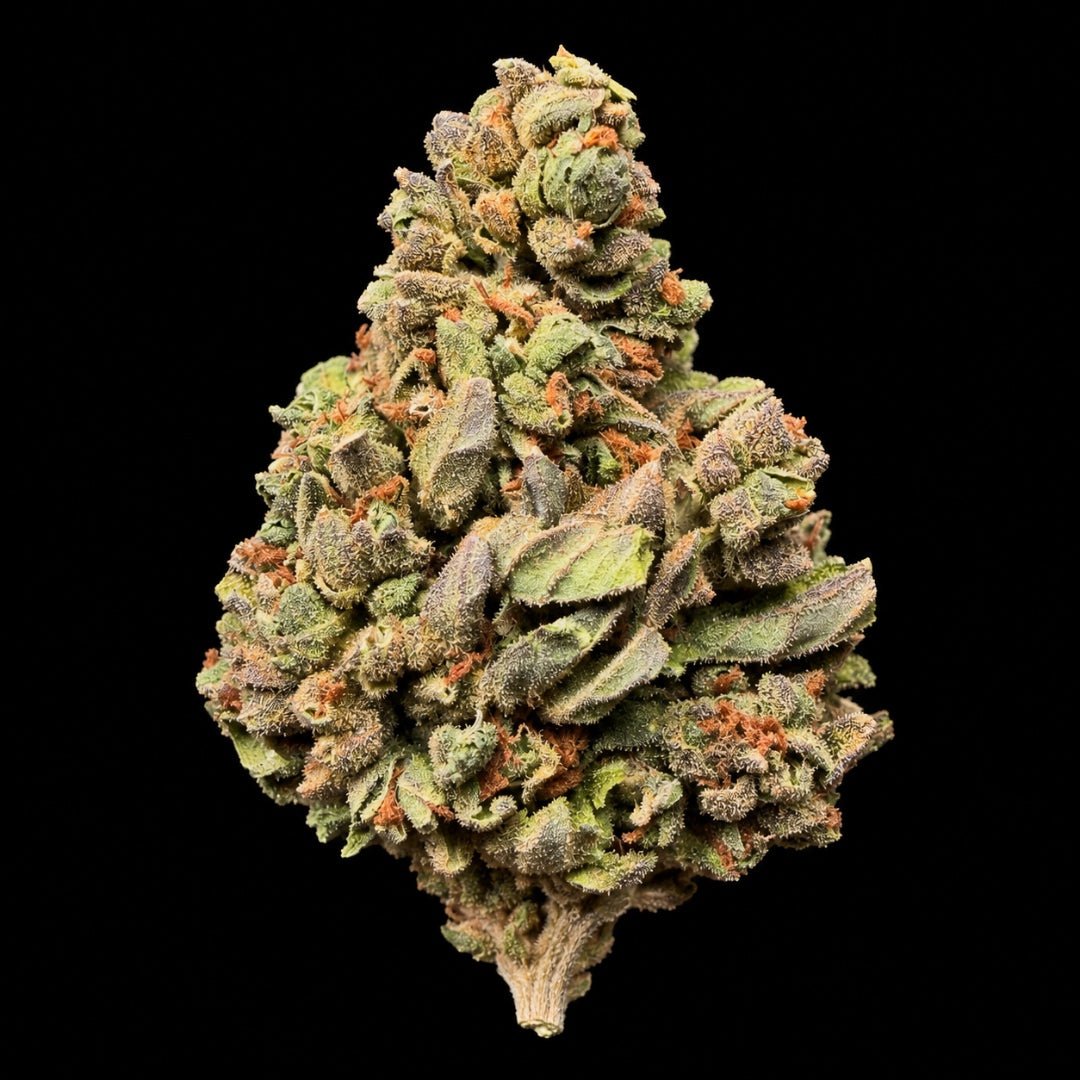 Blueberry Pancakes THCA Flower - Lost In Translation
