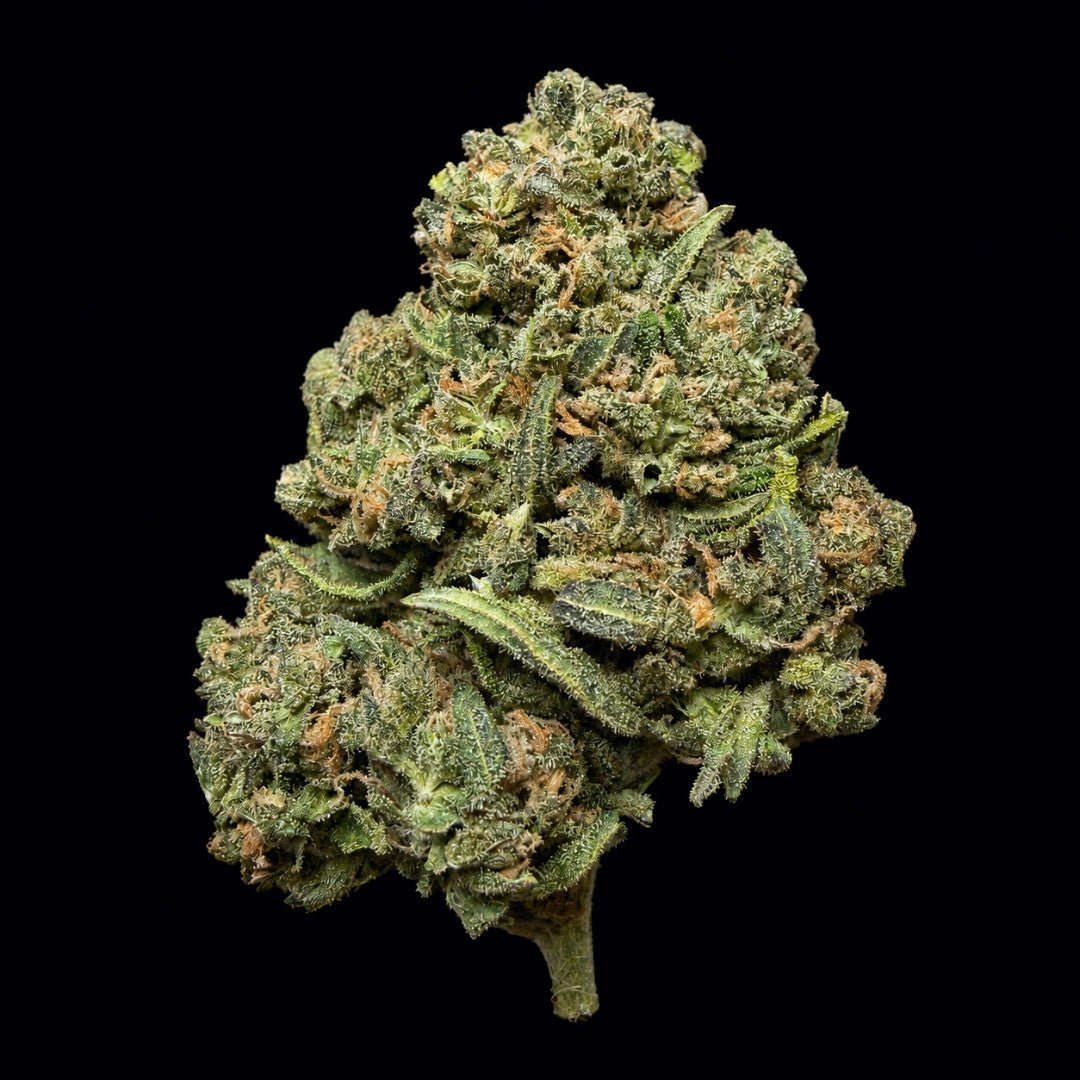 BOLO Runtz THCA Flower - Lost In Translation