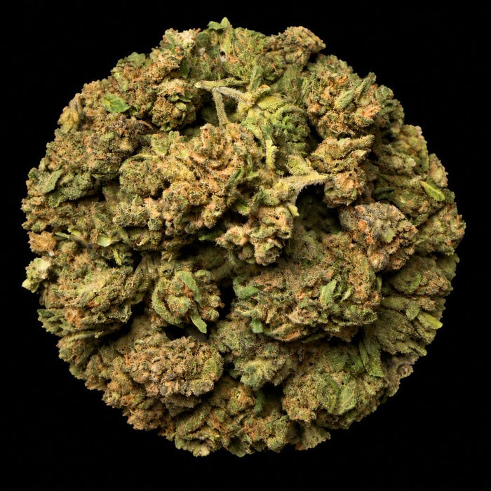 BOLO Runtz THCA Flower - Lost In Translation