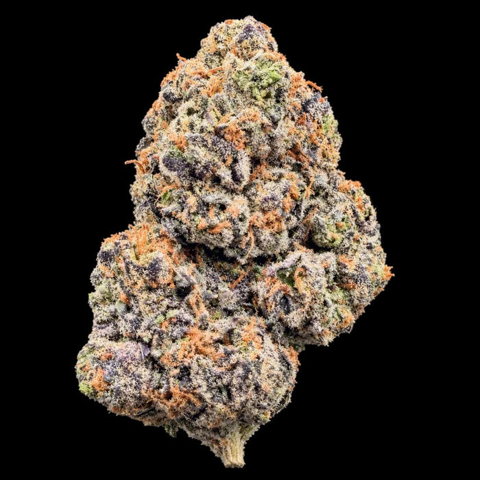 BOLO Runtz THCA Flower - Lost In Translation
