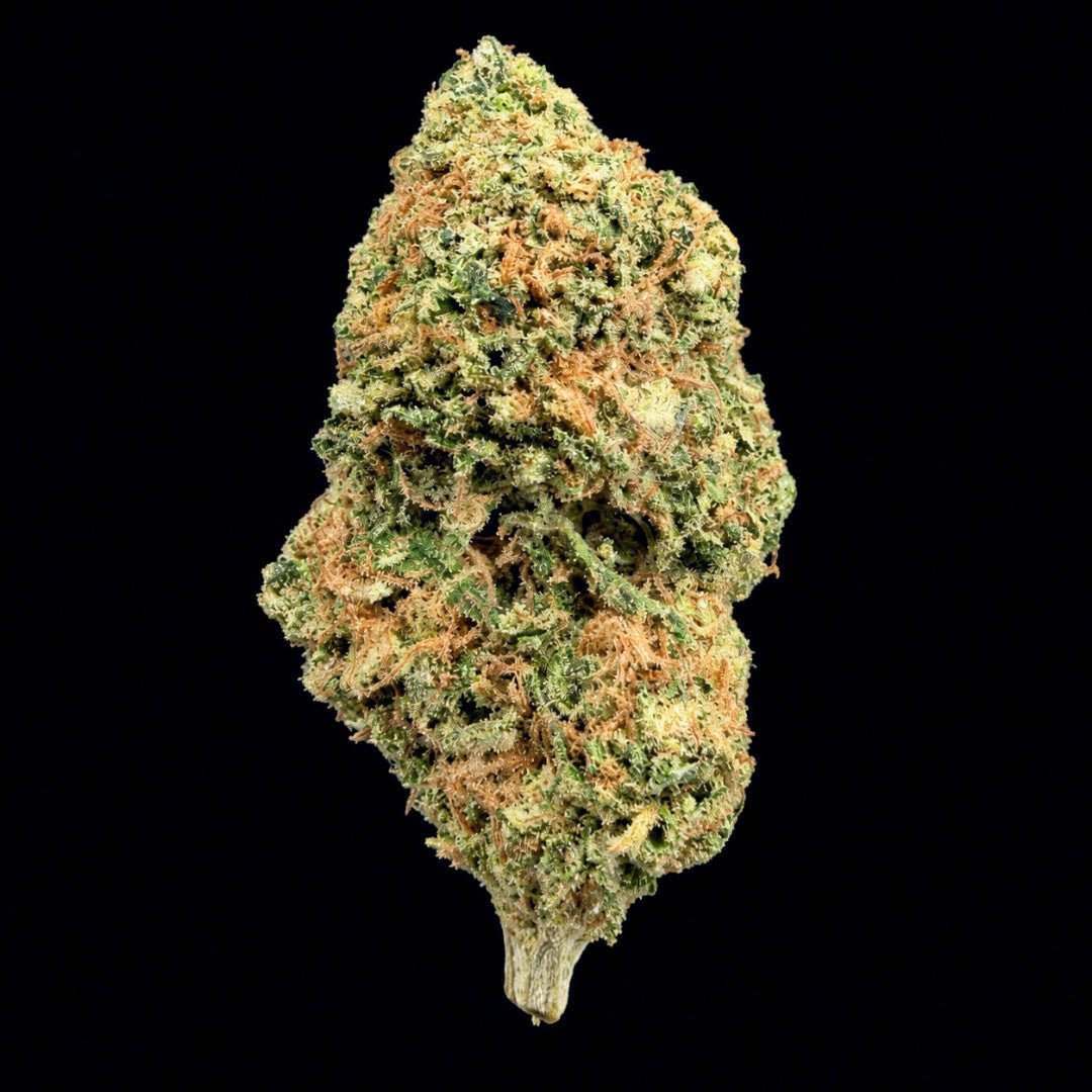 Bubble Bath THCA Flower - Lost In Translation