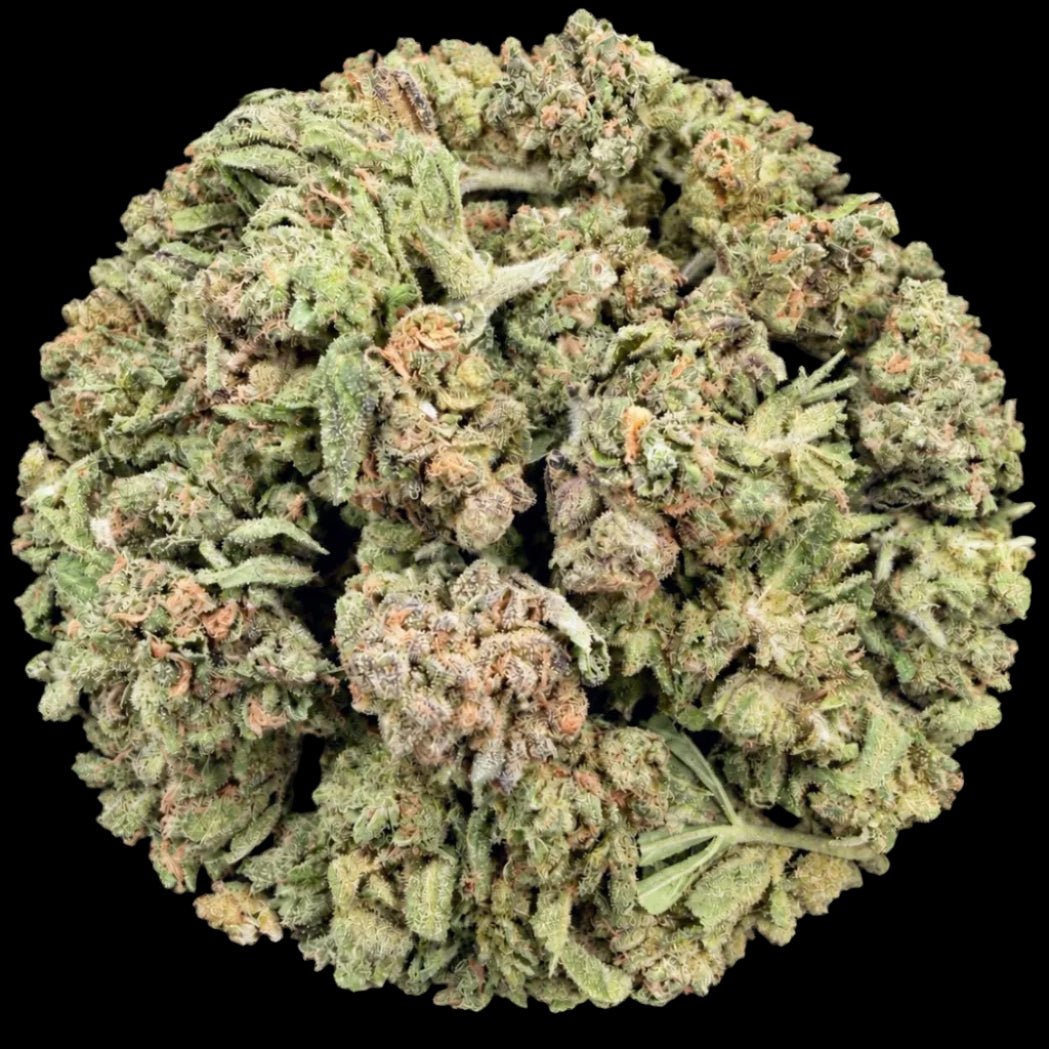 Bubble Belts THCA Flower - Lost In Translation