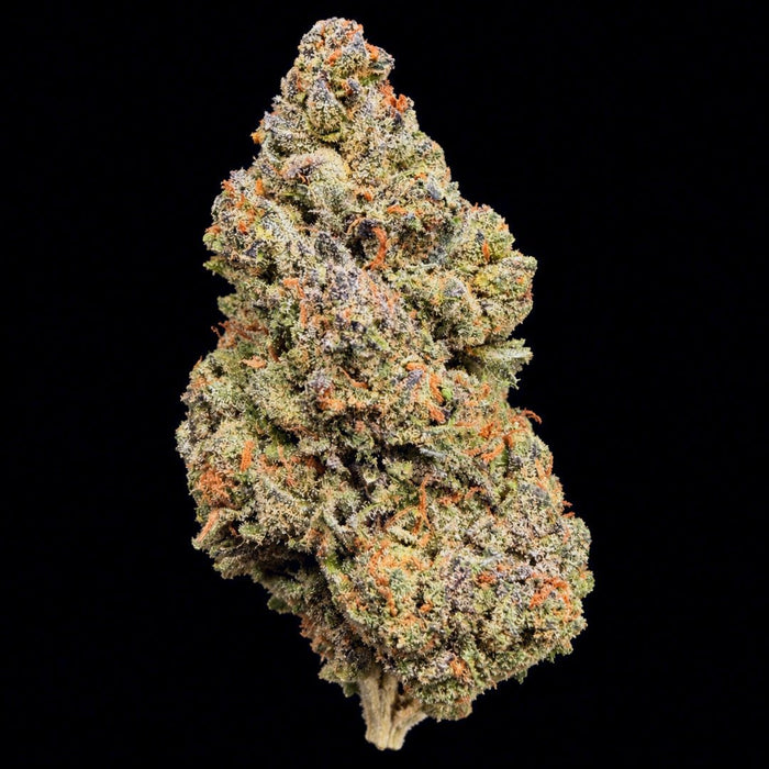 Candy Cream THCA Flower - Lost In Translation