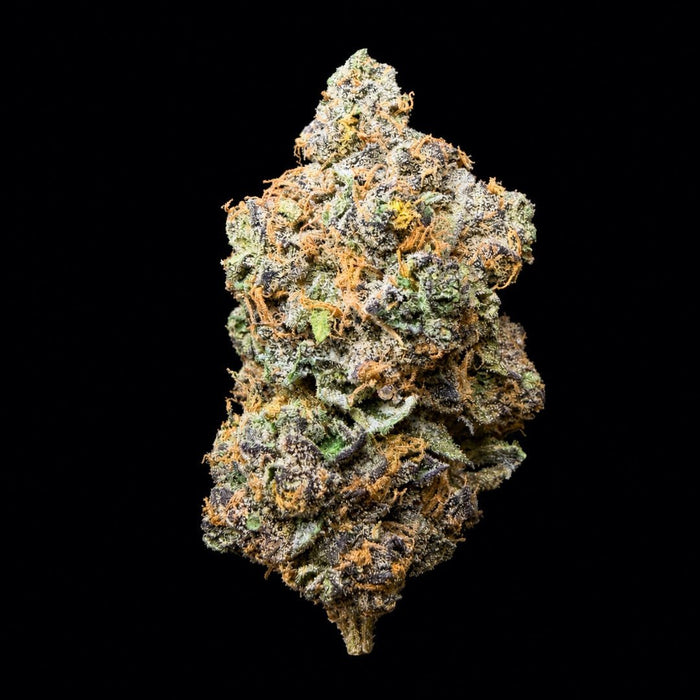Candy Cream THCA Flower - Lost In Translation