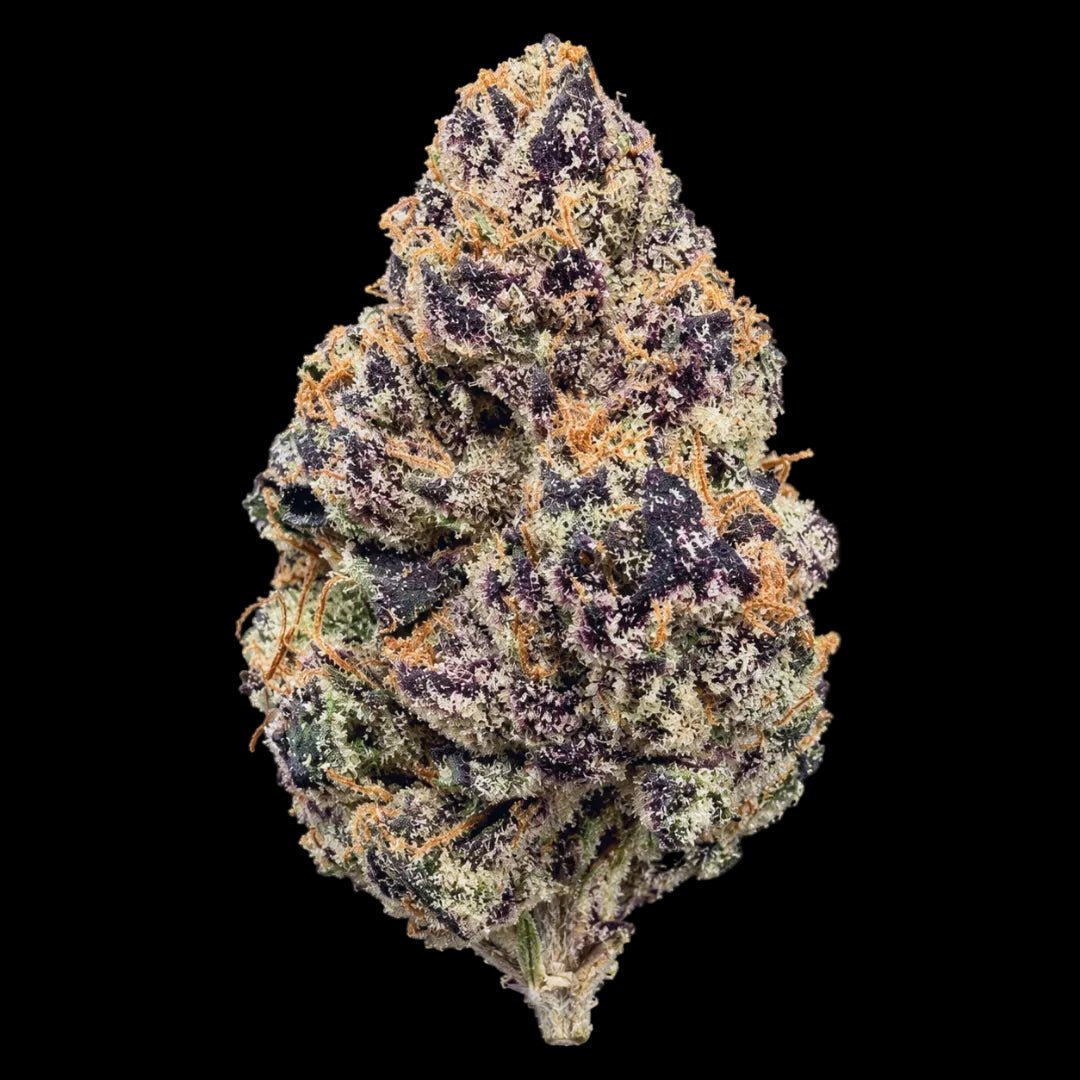 Candy Cream THCA Flower - Lost In Translation