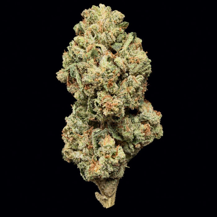Candy Jack - THCa Flower - Lost In Translation