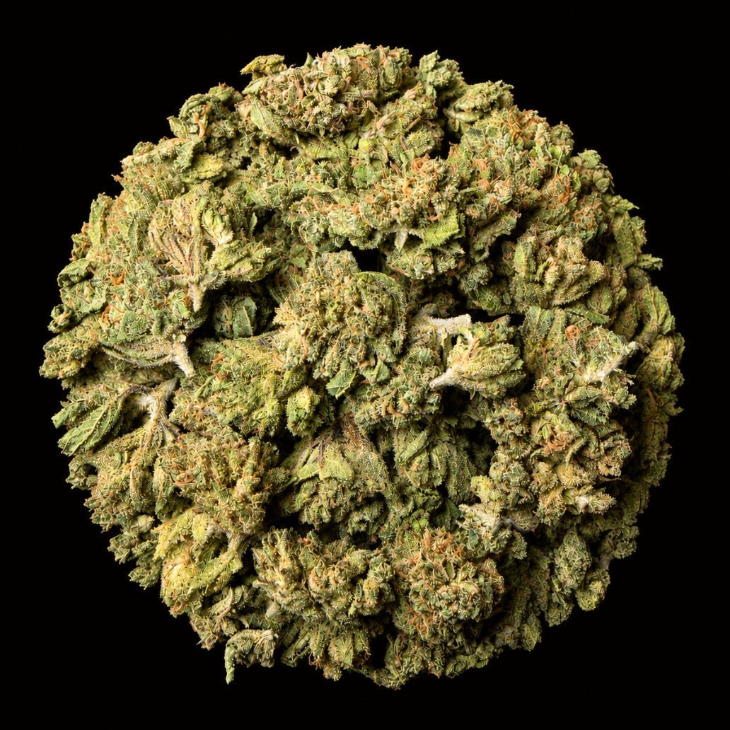 Candy Runtz THCA Flower - Lost In Translation