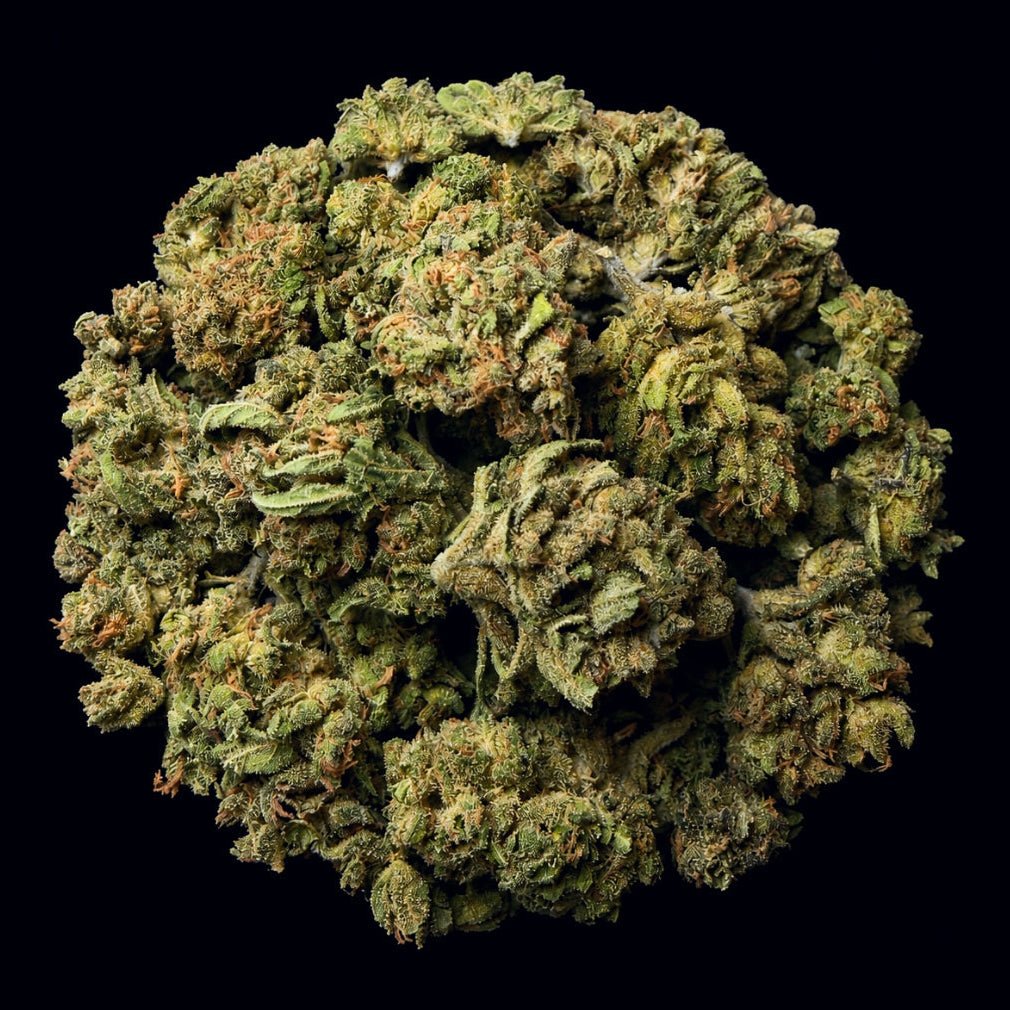 Chem Dog THCA Flower - Lost In Translation
