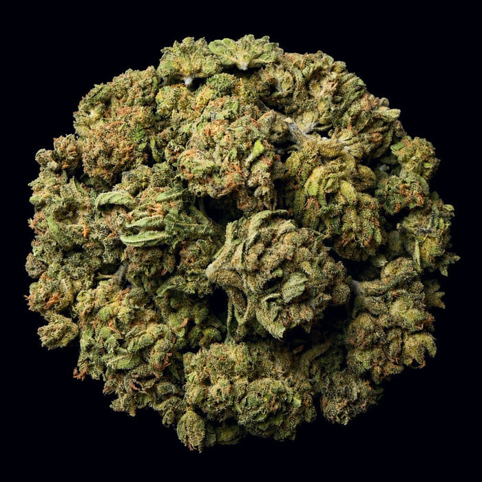 Chem Dog THCA Flower - Lost In Translation