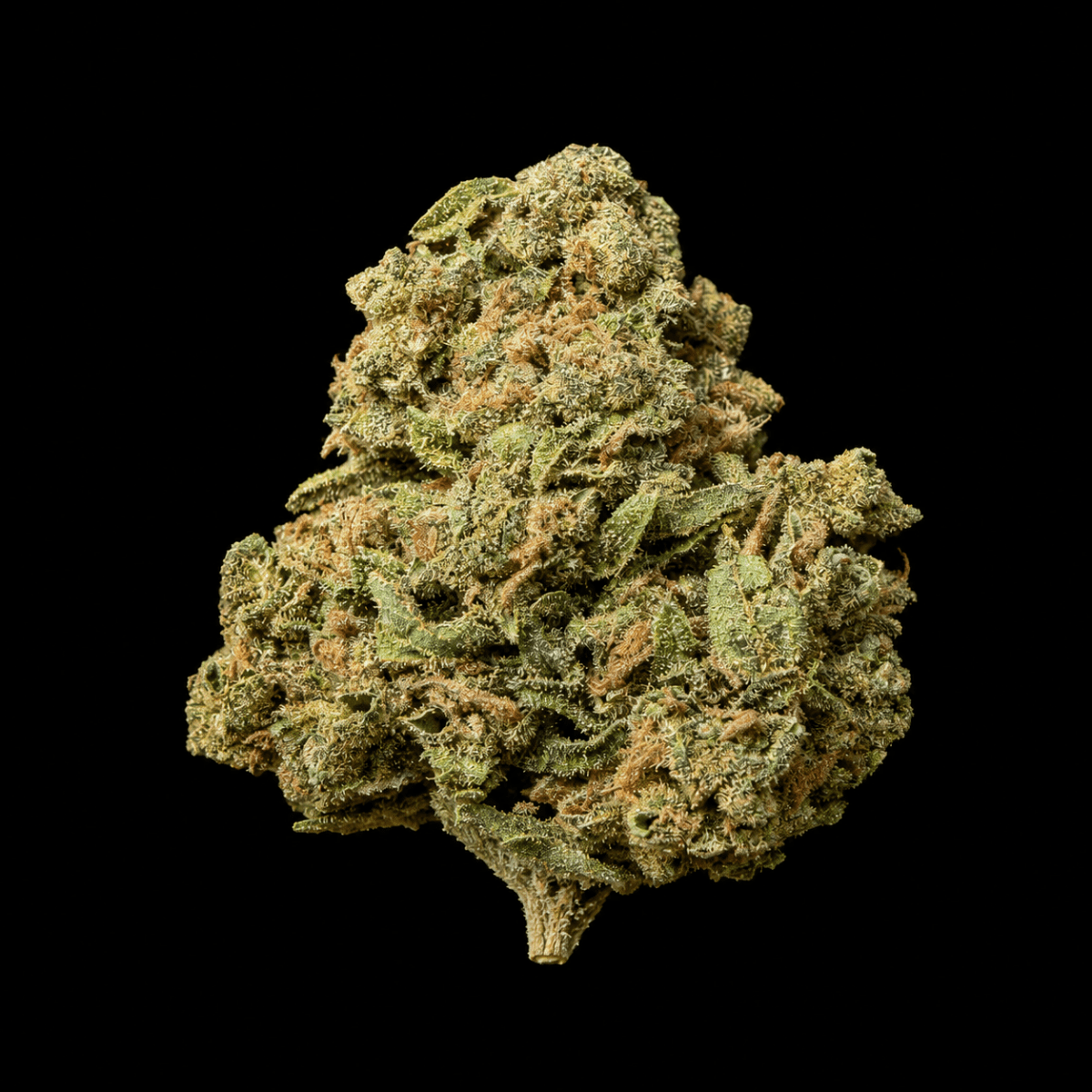 Chem Dog THCA Flower - Lost In Translation