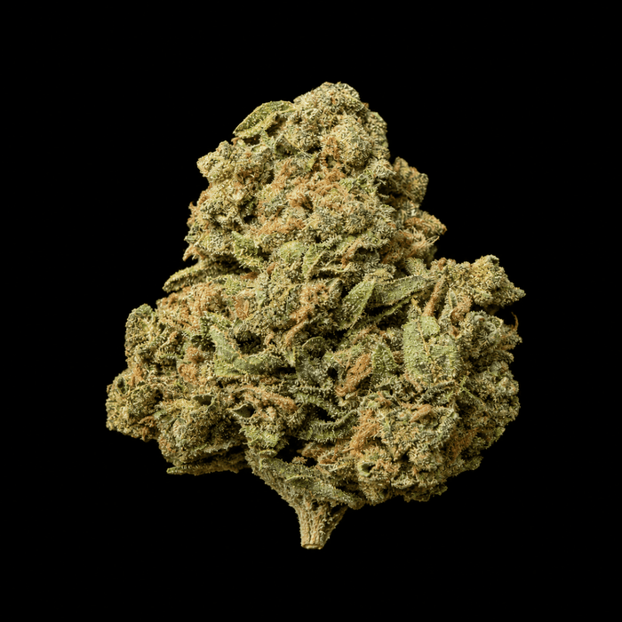 Chem Dog THCA Flower - Lost In Translation