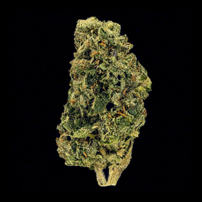 Cherry Ice THCA Flower - Lost In Translation