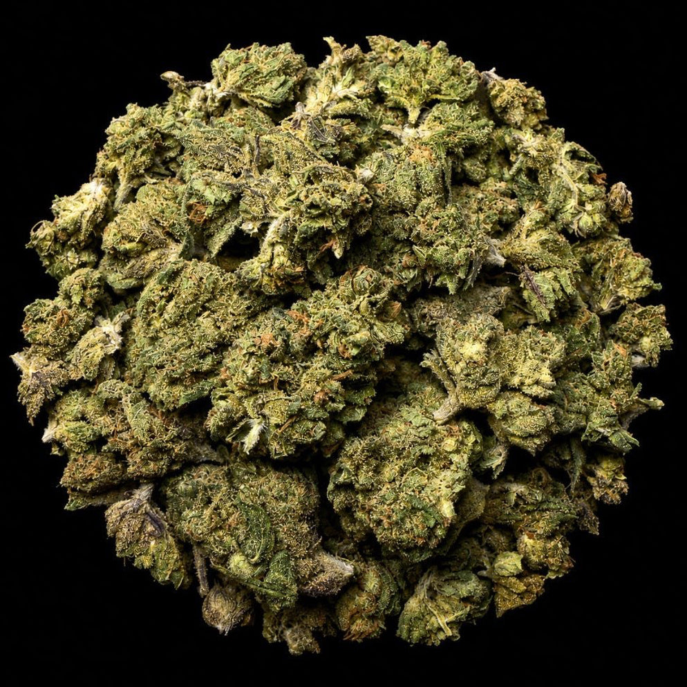 Cookie Monster THCA Flower - Lost In Translation