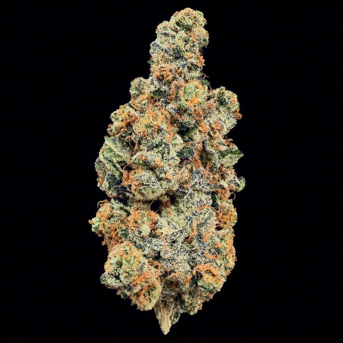 Cookie Monster THCA Flower - Lost In Translation