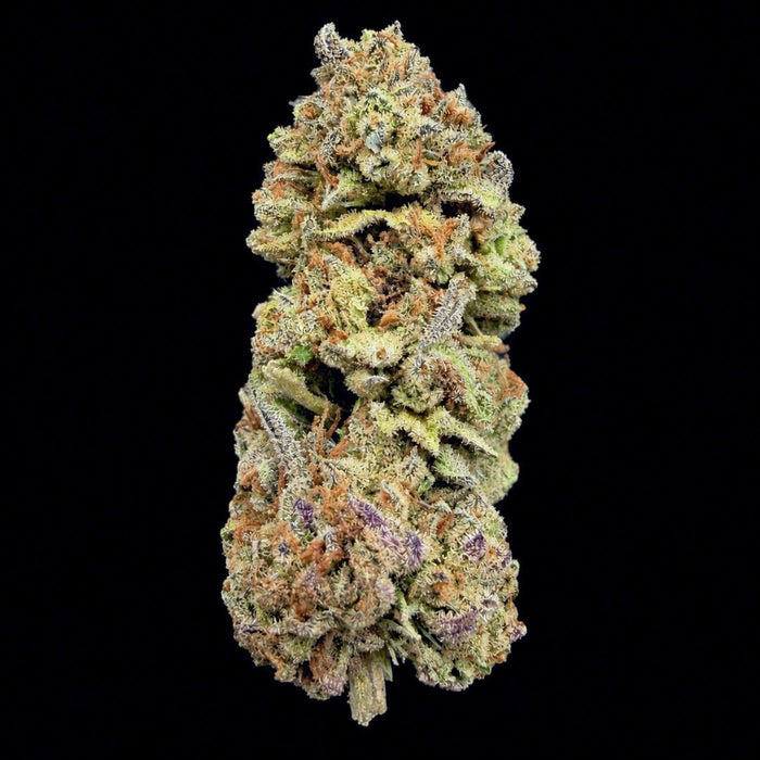 Cookie Monster THCA Flower - Lost In Translation