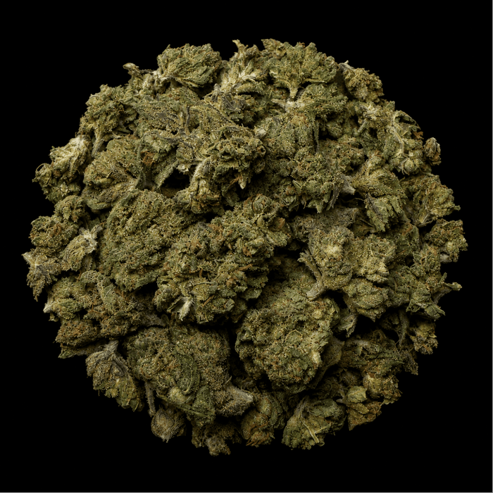 Cookie Monster THCA Flower - Lost In Translation
