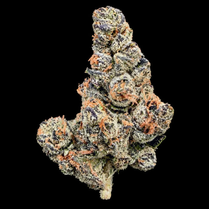 Cosmic Runtz THCA Flower - Lost In Translation