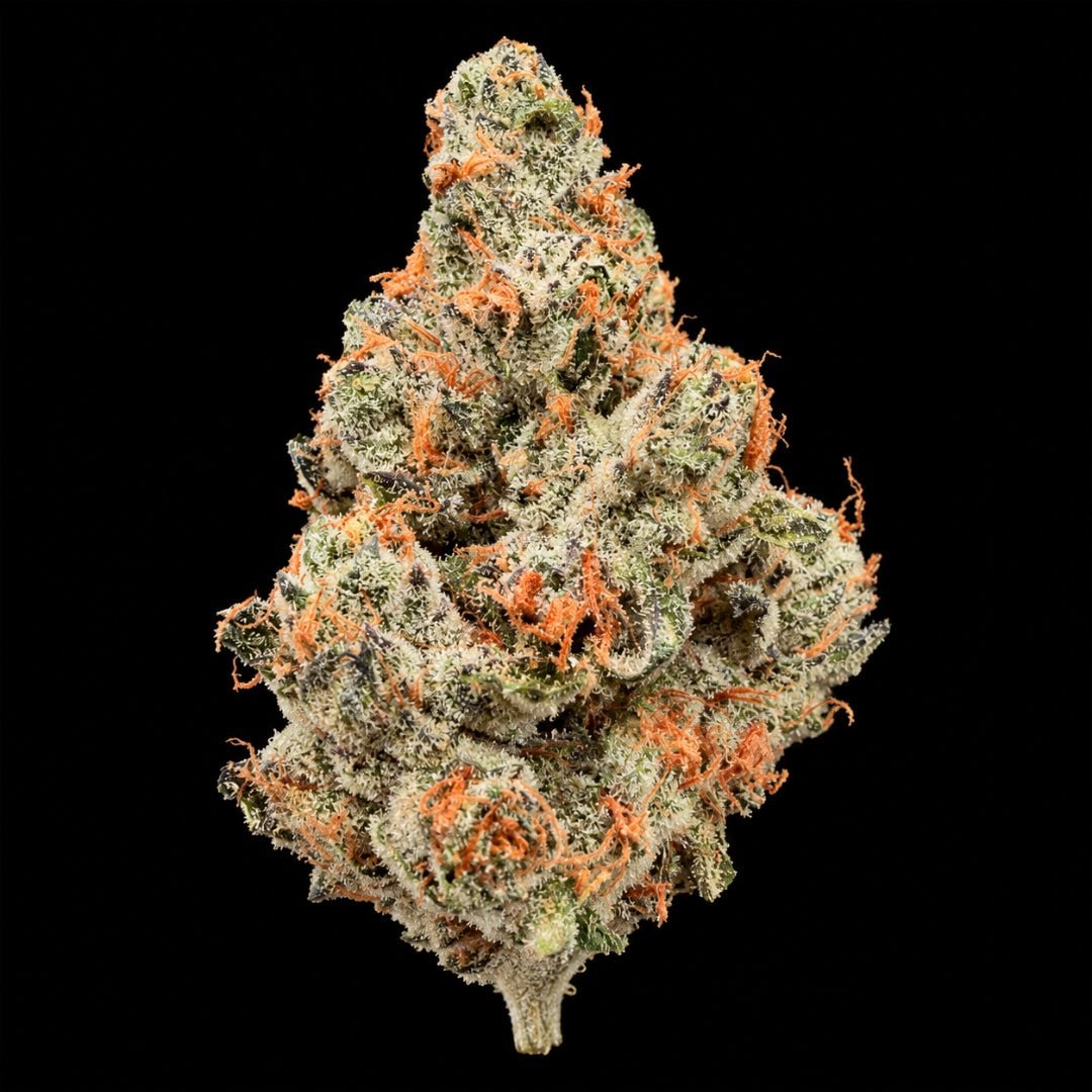 Creme Brulee THCA Flower - Lost In Translation