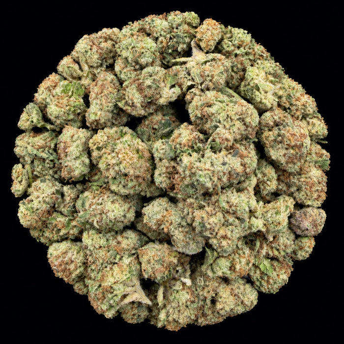 Creme Brulee THCA Flower